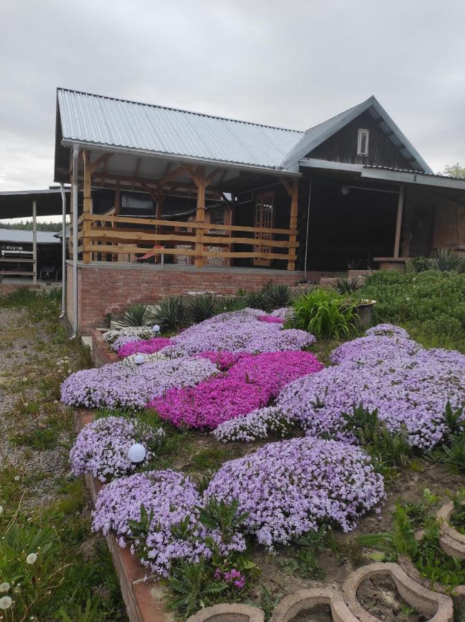 Stadnina Koni Tarka Zwierzyniec Exterior foto
