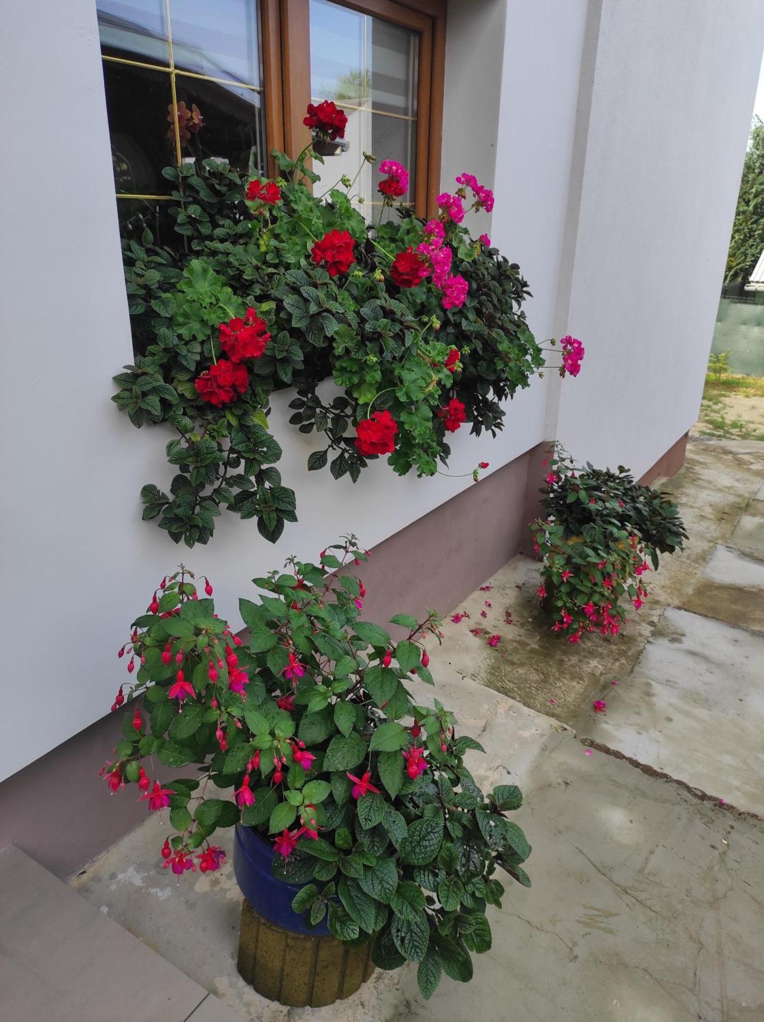 Stadnina Koni Tarka Zwierzyniec Exterior foto