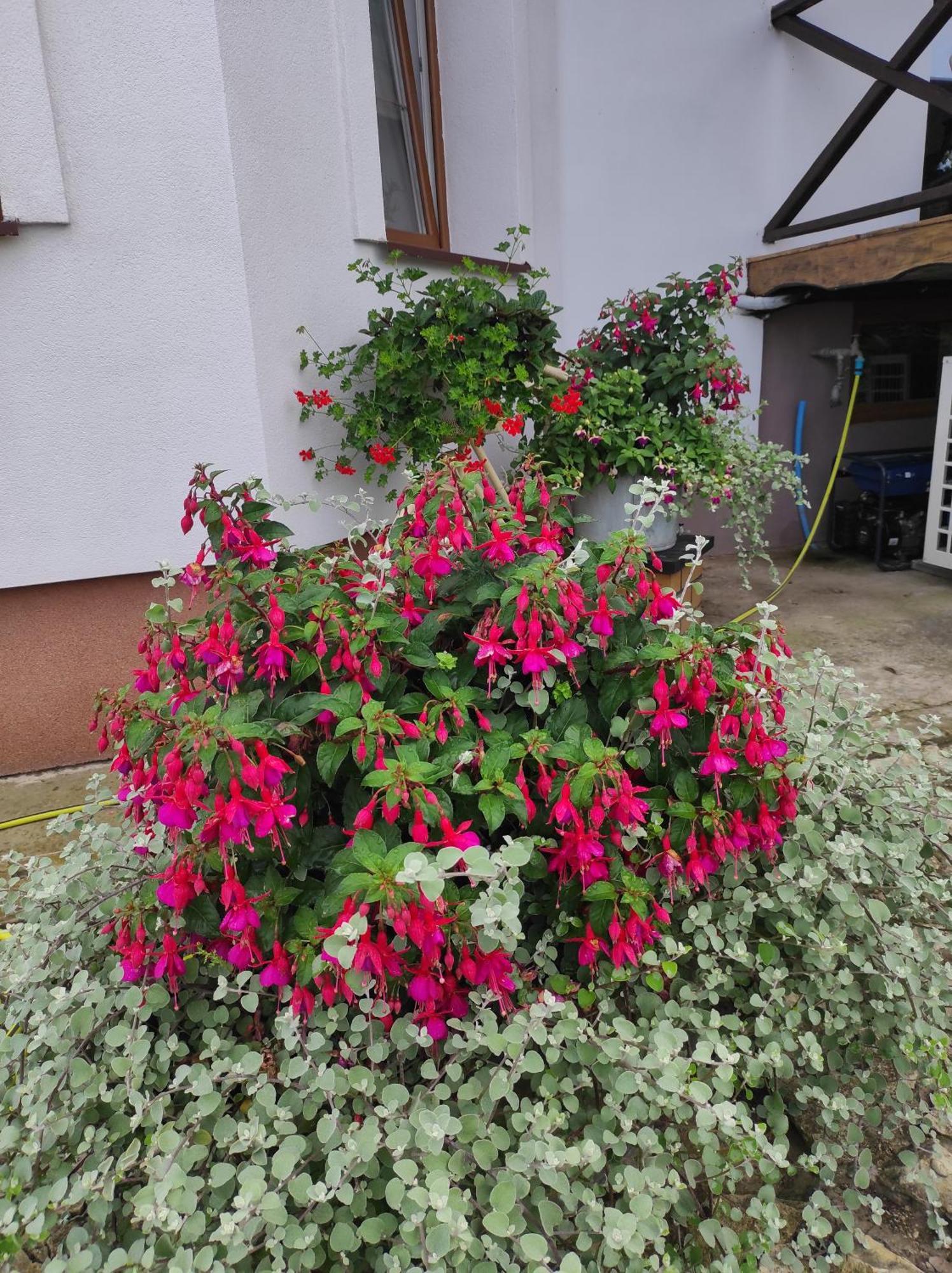 Stadnina Koni Tarka Zwierzyniec Exterior foto