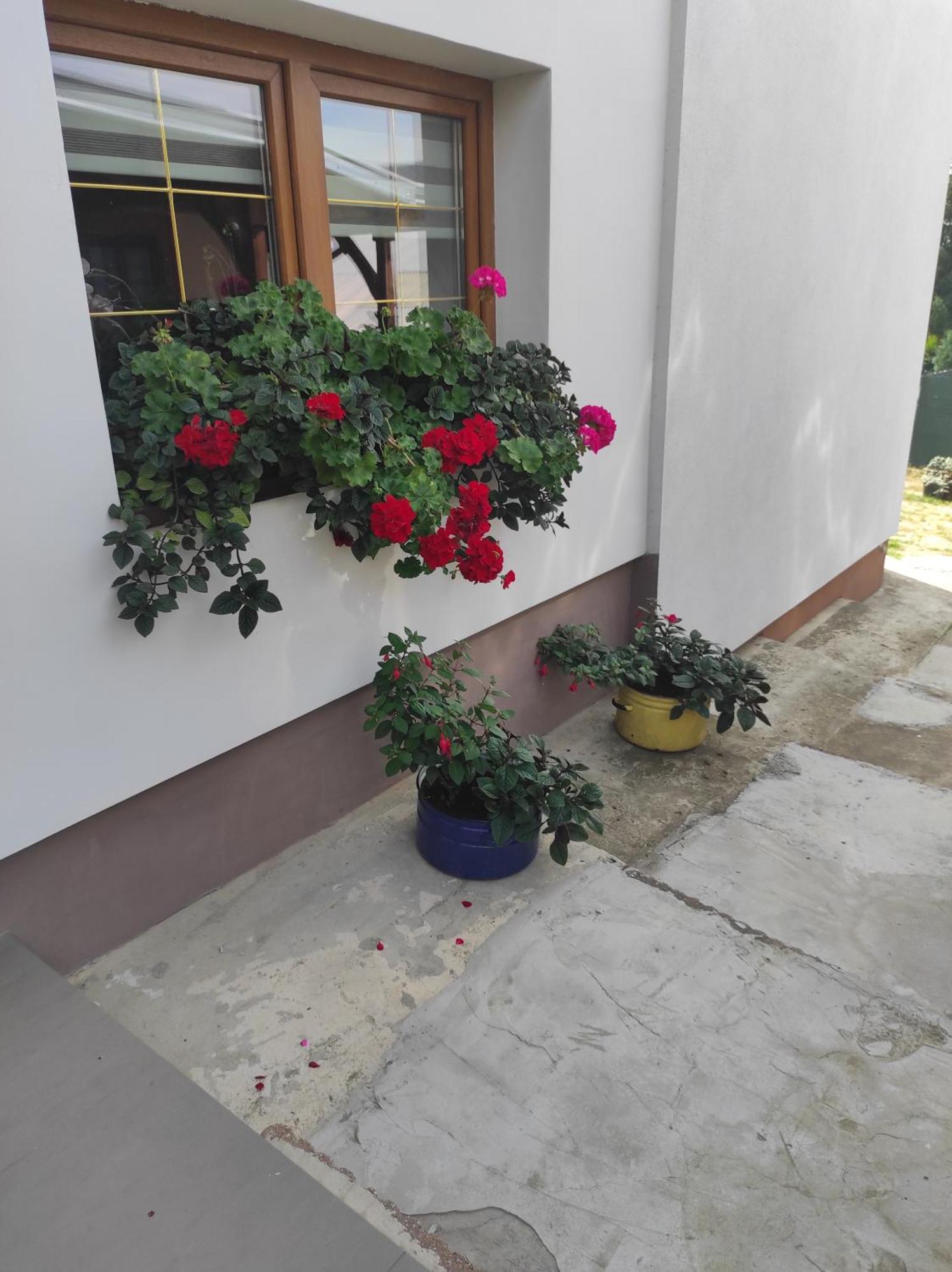 Stadnina Koni Tarka Zwierzyniec Exterior foto